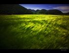 dailyPhoto14